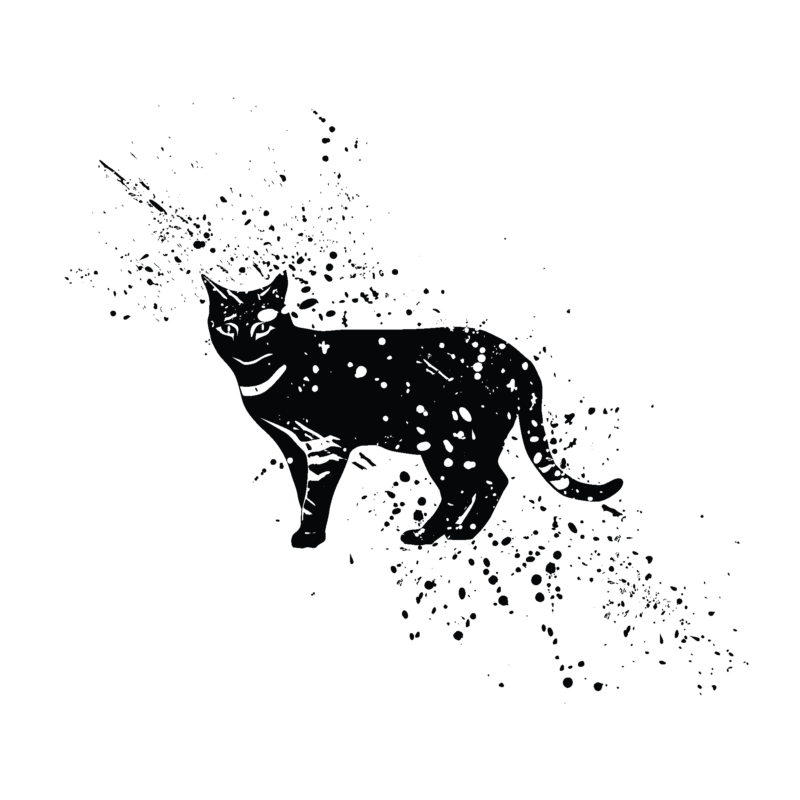 Временное тату черный кот