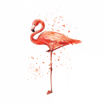 Временная тату фламинго розовый