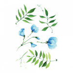 Временная тату набор голубых цветов