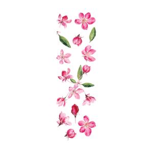 Сет рожевих квіточок