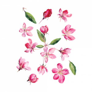 Временная тату розовые цветочки