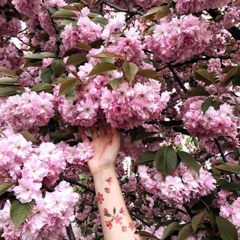 Переводная тату розовые цветочки на руках и сакура