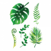 Временная тату набор Зеленого Листья