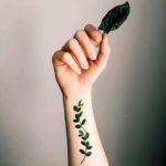 Временное тату "Сет зеленого листя"