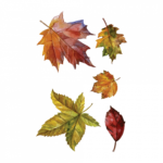Временная татуировка Осенние листья