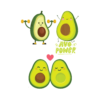 Авокадо Кедавра