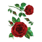 Temporary tattoo "Королівська троянда"