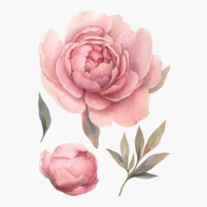 Temporary tattoo Delicate watercolor peony