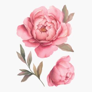 Temporary tattoo Blooming watercolor peony